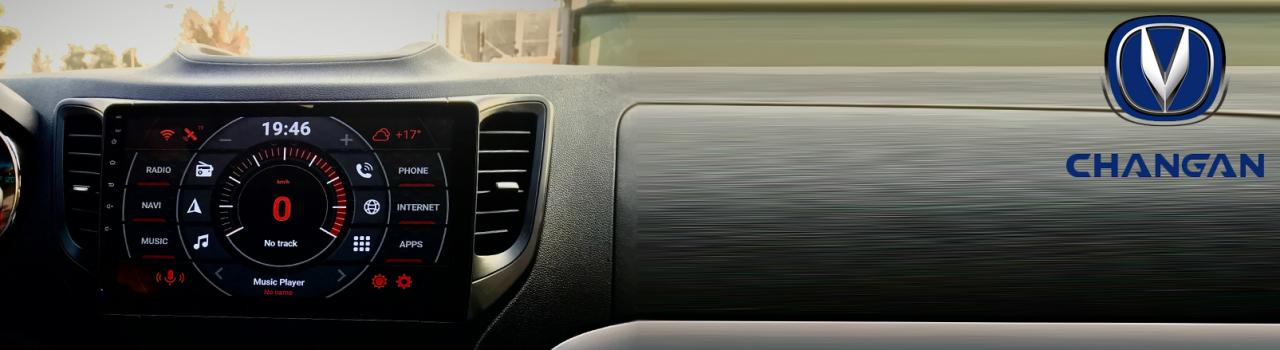 مانیتور چانگان